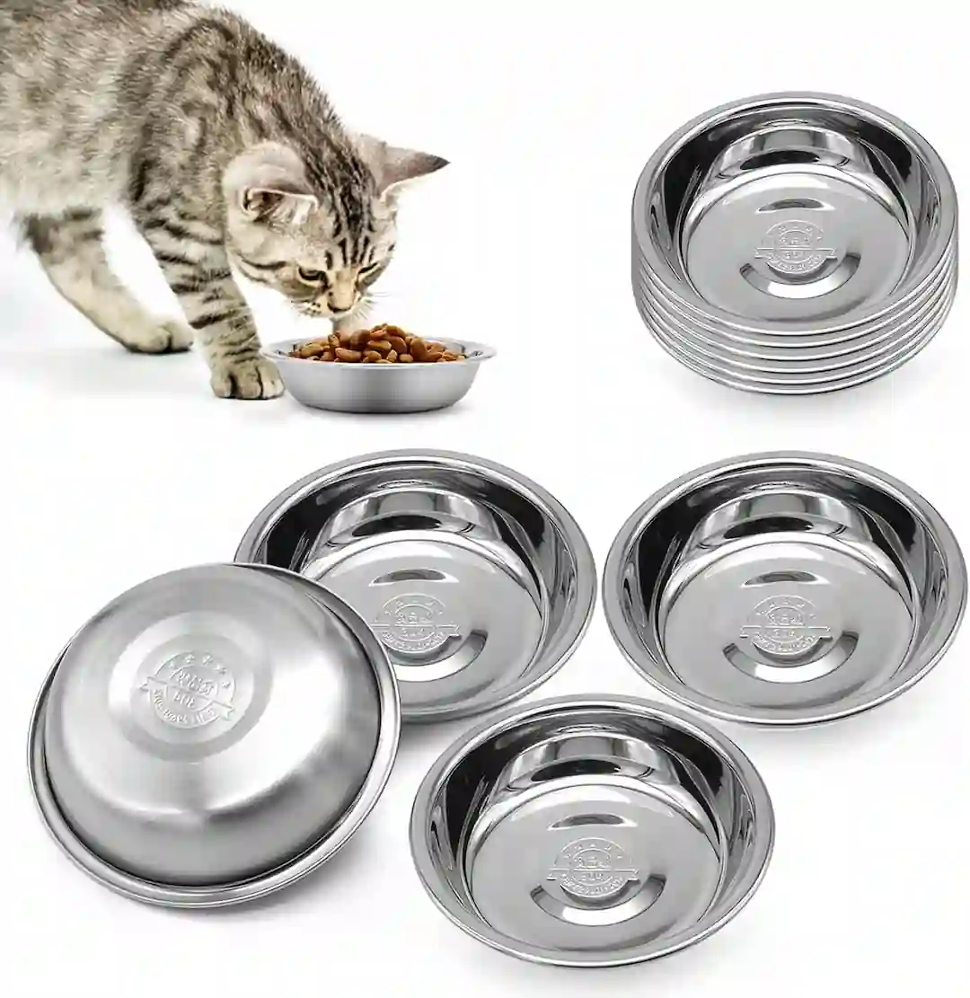 Choosing a Bowl for Your Cat | 7 Tips to Choose the Right Cat Bowls