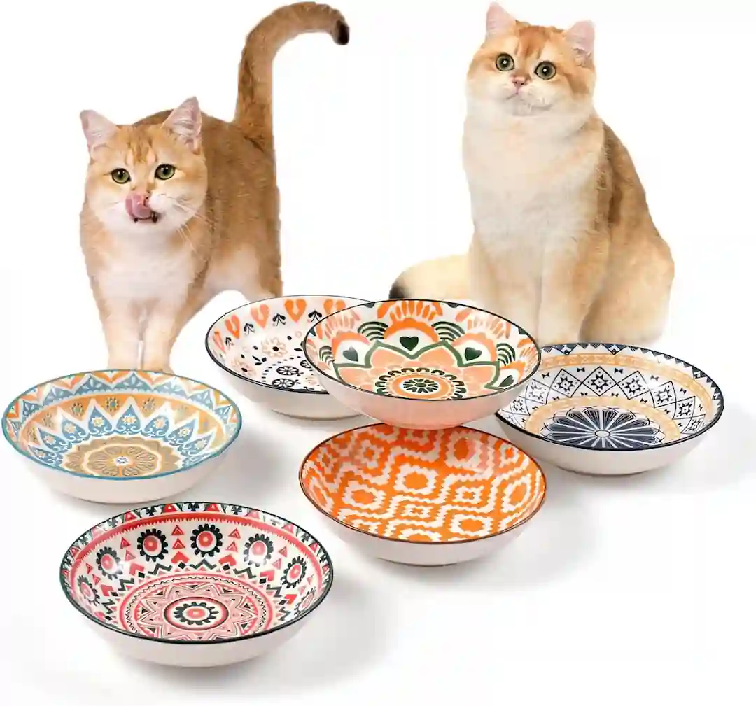 Choosing a Bowl for Your Cat | 7 Tips to Choose the Right Cat Bowls
